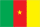 Cameroon flag