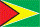 Guyana flag